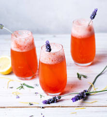 Mimosa rosa