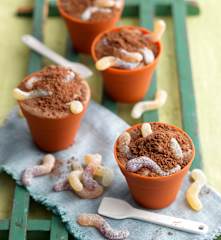 Dirt and Worms Chocolate Ice Cream