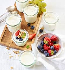 Vanille-Erythrit-Joghurt