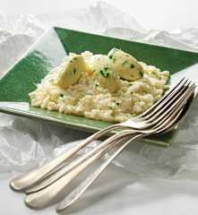 Risotto al baccalà