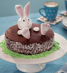 Coconut and Chocolate Easter Cake