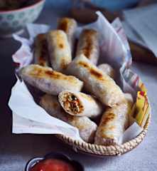 Frühlingsrollen (春卷)