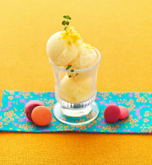 Sorbet aux 3 agrumes