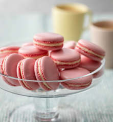 Pink and White Macarons