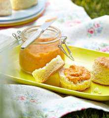 Red Pepper and Apple Dip