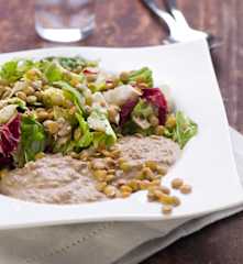 Linsen auf Blattsalat mit Linsencreme