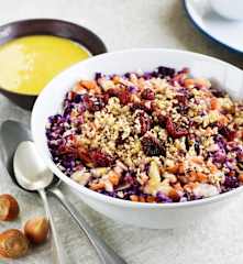 Coleslaw quadricolore