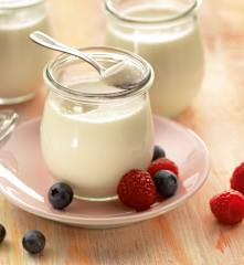 Yogurt fresco