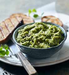 Bohnen-Kräuter-Aufstrich