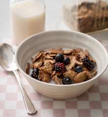 Allergen Free Breakfast Cereal