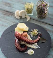 Pulpo a la parrilla con puré y mayonesa de wasabi