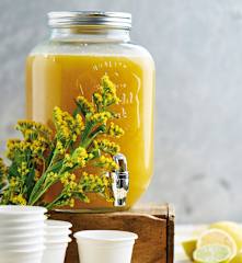 Refresco de chá verde, manga e limão