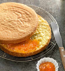 Sponge Cake