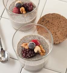Pudin de semillas de chia