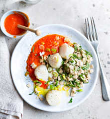 Saint-Jacques, crozets, menthe et sauce tomate