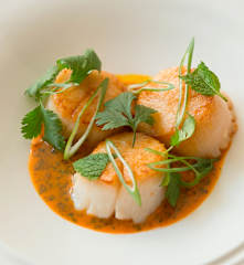 Seared Scallops with Carrot and Ginger Sauce (Hestan Cue™)
