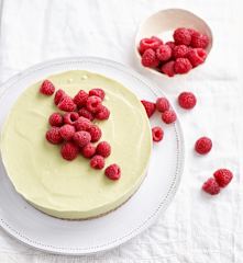 Cheesecake de abacate vegan