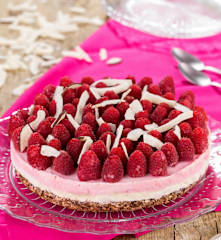 Torta gelato cocco e lamponi (vegan)