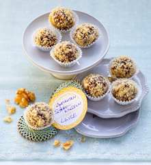 Aprikosen-Schoko-Kugeln