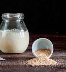 Dehydrating and Reactivating Sourdough Starter