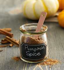 Pumpkin Spice Mix