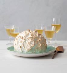 Chocolate berry baked Alaska