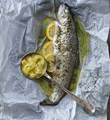 Forellenpäckchen auf Schmorgurken