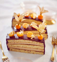 Weihnachtliche Opernschnitte