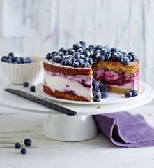 Quark-Sahne-Blaubeer-Torte