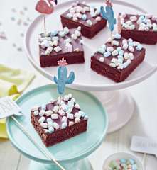 Schokoladen-Marshmallow-Kuchen