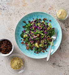 Kale, sprouts and red cabbage salad