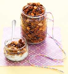 Céréales croustillantes au chocolat et fruits secs