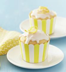 Zitronen-Joghurt-Muffins