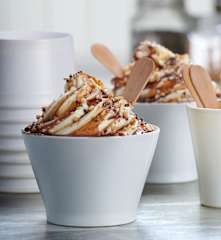 Frozen yogurt con cioccolato e granelle