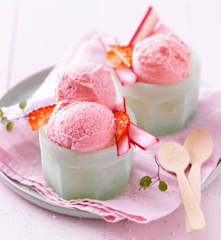 Sorbet rhubarbe-fraise