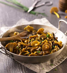 Fricassée de chanterelles, sauce ciboulette