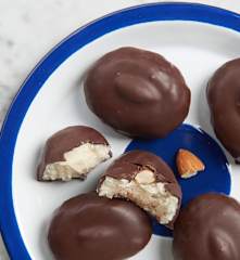 Coconut Almond Candies