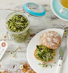 Grüner Kräuteraufstrich