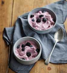 Gelado de frutos vermelhos