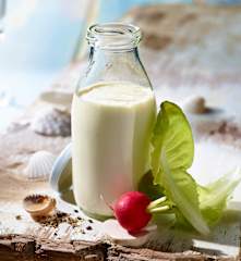 Salatsauce Sylter Art