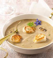 Crème de champignons aux saint-jacques