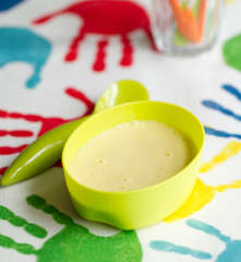 Fruit and Yoghurt Purée