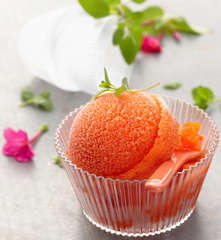Sorbet poivron rouge
