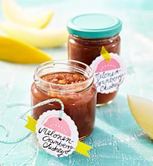 Melonen-Cranberry-Chutney