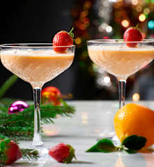 Weihnachtsrotkehlchen