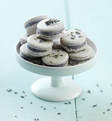 Macarons com creme de lavanda
