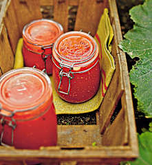 Coulis de tomates aux herbes de Provence