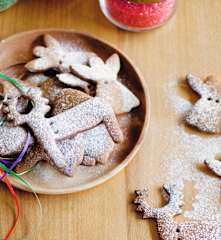 Biscuits aux épices