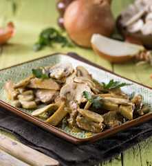 Straccetti di seitan ai funghi