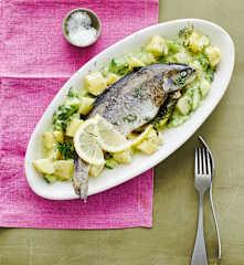 Forelle mit Kartoffel-Gurken-Gemüse